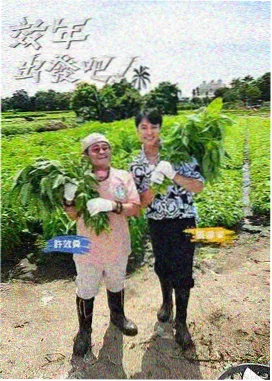 偶像训练营